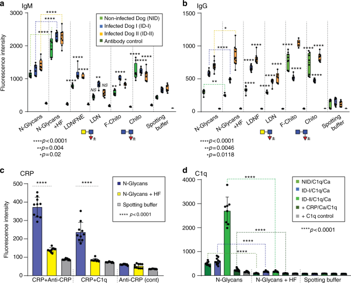 Microarray assessment of N-glycan-specific IgE and IgG profiles