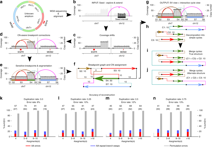 QnA VBage Exploring the landscape of focal amplifications in cancer using AmpliconArchitect