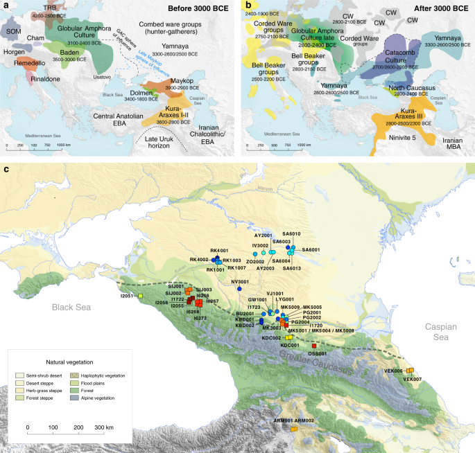 Full article: Network analysis of the Caucasus' image