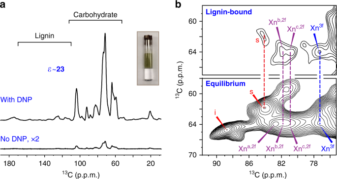 The main substructures of lignin in the spectra (A: β-O-4