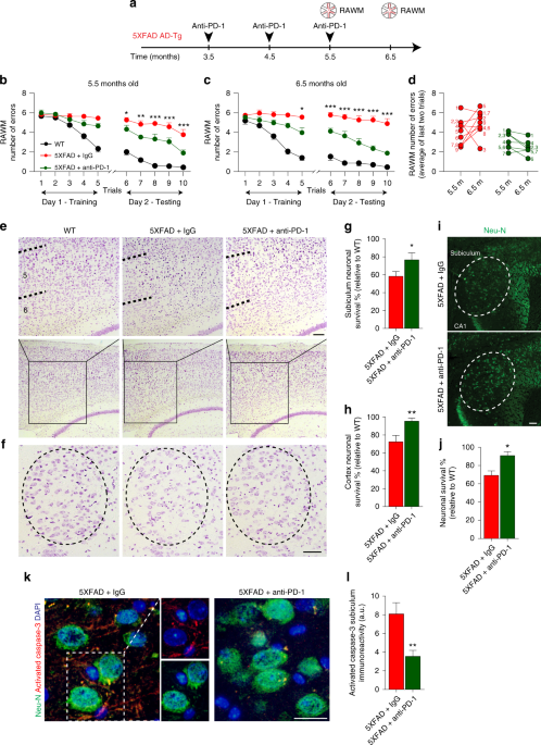 Fig. 1 41467_2019_8352_Fig1_HTML.png