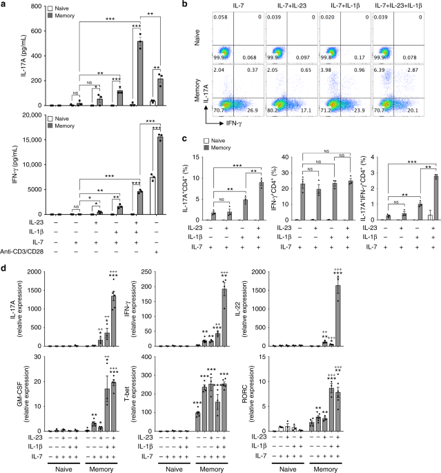 Pathogenic function of bystander-activated memory-like CD4+ T cells in  autoimmune encephalomyelitis | Nature Communications