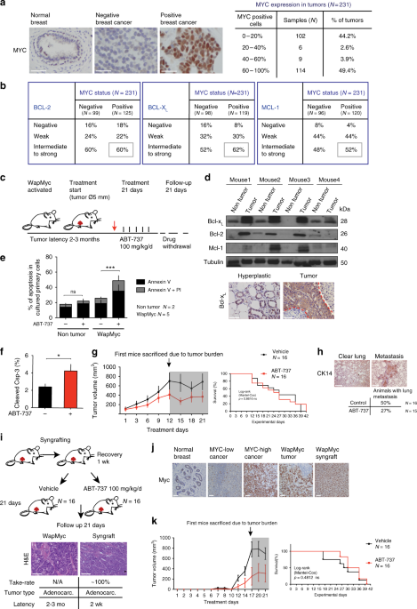 Pharmacological Reactivation Of Myc Dependent Apoptosis Induces Susceptibility To Anti Pd 1 Immunotherapy Nature Communications Pharmacological Reactivation Of Myc Dependent Apoptosis Induces Susceptibility To Anti Pd 1 Immunotherapy Nature Communications