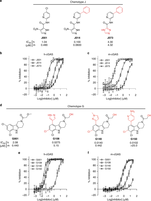 Addgene: pRSFDuet-sumo-h-cGASCD(K427E/K428E)