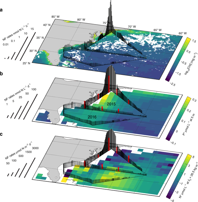Revisiting The Distribution Of Oceanic N 2 Fixation And Estimating Diazotrophic Contribution To Marine Production Nature Communications