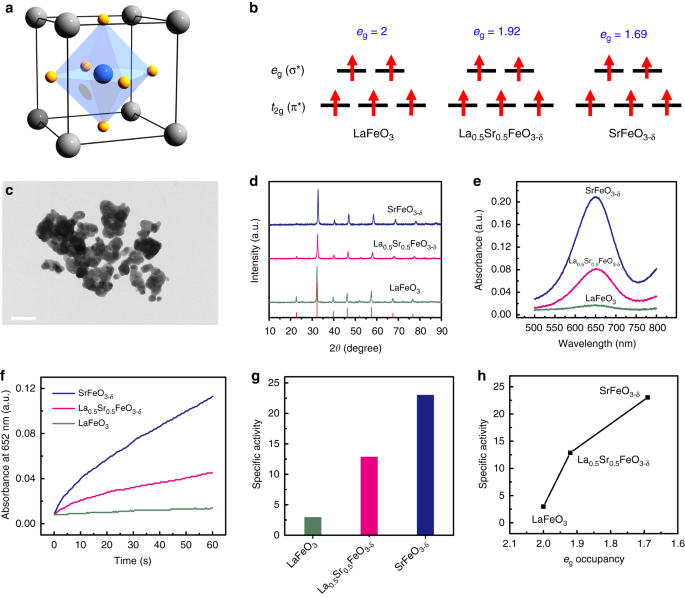 E G Occupancy As An Effective Descriptor For The Catalytic Activity Of Perovskite Oxide Based Peroxidase Mimics Nature Communications