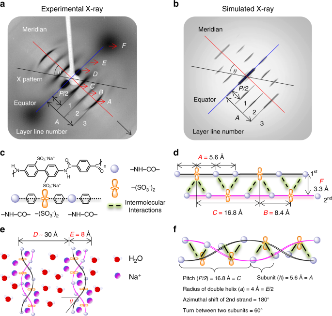 Double Helical Conformation And Extreme Rigidity In A Rodlike Polyelectrolyte Nature Communications