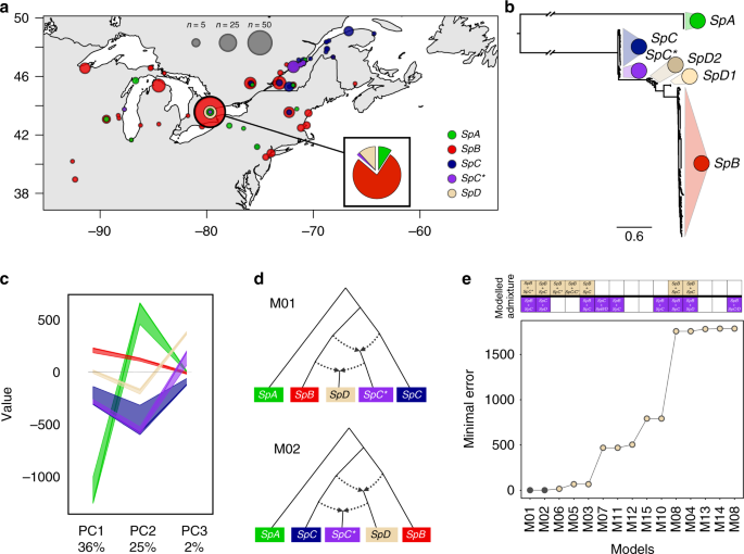 Hybridization Is A Recur Evolutionary Stimulus In Wild Yeast Potion Structure Of Saccharomyces Paradoxus In North America A Sampling Locations Circles 316 Whole Genome Sequenced Strains From Five Distinct