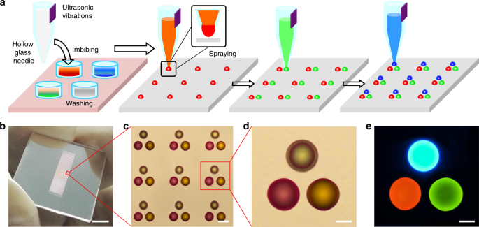Full-color laser displays based on organic printed microlaser arrays |  Nature Communications