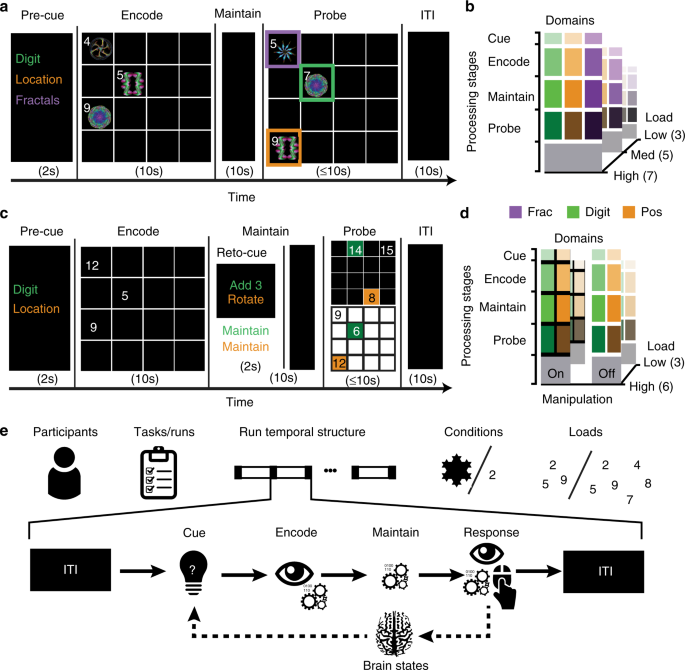 QnA VBage Dynamic network coding of working-memory domains and working-memory processes