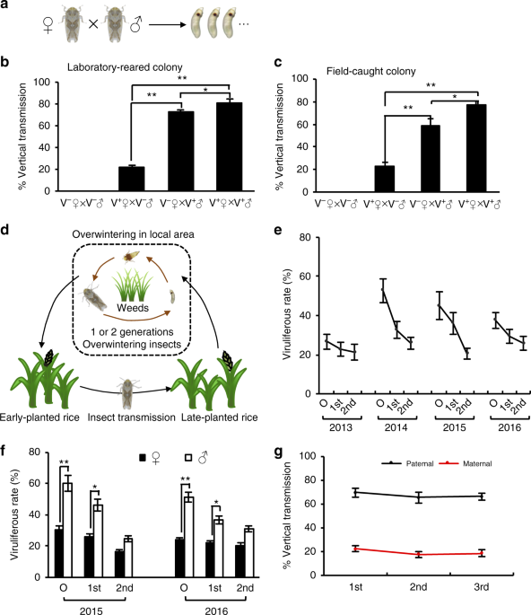 Viral pathogens hitchhike with insect sperm for paternal transmission