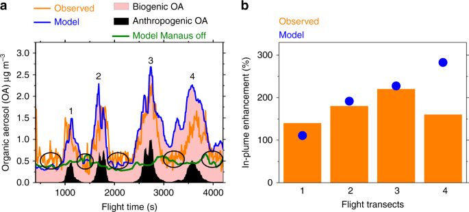 Urban pollution greatly enhances formation of natural aerosols over the  Amazon rainforest | Nature Communications