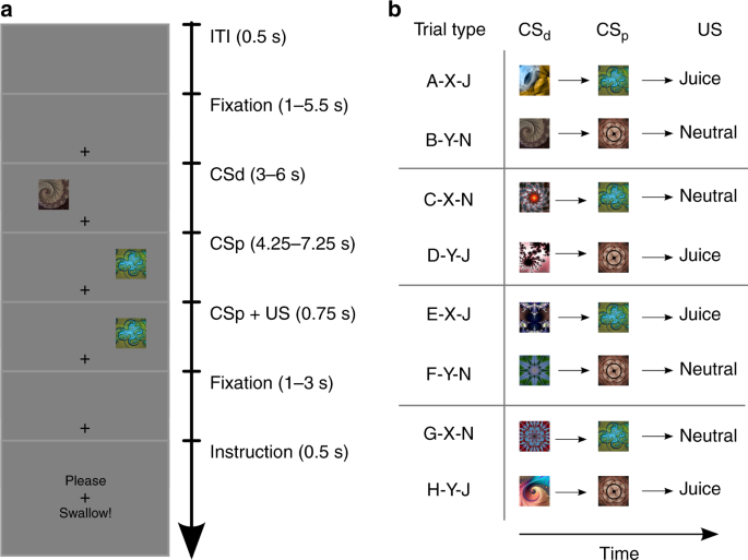 Evidence For Model Based Encoding Of Pavlovian Contingencies In The Human Brain Nature Communications