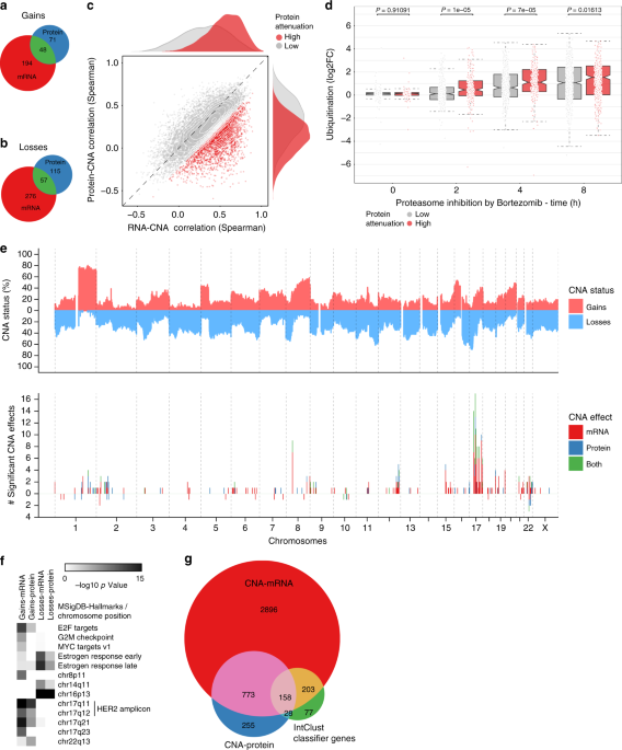 Cancer Gene Twice As Likely To Be >> Breast cancer quantitative proteome and proteogenomic ... Cancer Gene Twice As Likely To Be >> Breast cancer quantitative proteome and proteogenomic ...