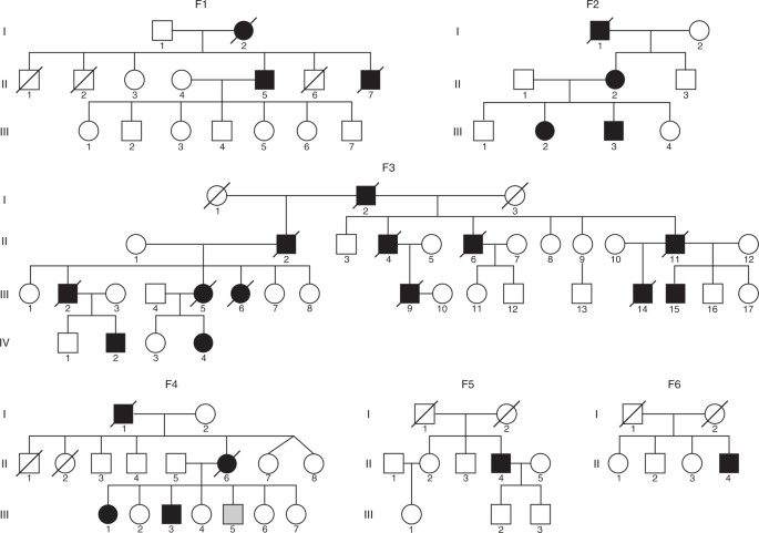 Myoglobinopathy Is An Adult Onset Autosomal Dominant Myopathy With Characteristic Sarcoplasmic Inclusions Nature Communications Myoglobinopathy Is An Adult Onset Autosomal Dominant Myopathy With Characteristic Sarcoplasmic Inclusions Nature Communications