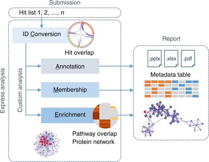 https://media.springernature.com/m685/springer-static/image/art%3A10.1038%2Fs41467-019-09234-6/MediaObjects/41467_2019_9234_Fig1_HTML.png