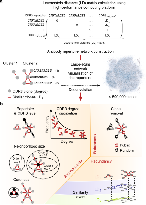Large-scale network analysis reveals the sequence space architecture of antibody repertoires | Nature Communications