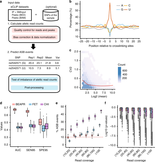 A Uconn Study Of How Human Brain Reads >> Allele Specific Binding Of Rna Binding Proteins Reveals Functional A Uconn Study Of How Human Brain Reads >> Allele Specific Binding Of Rna Binding Proteins Reveals Functional