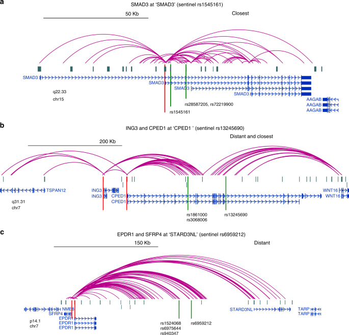 Genome Scale Capture C Promoter Interactions Implicate Effector Genes At Gwas Loci For Bone Mineral Density Nature Communications
