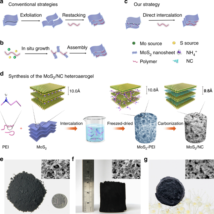 A Polymer Direct Intercalation Strategy For Mos 2 Carbon Derived Heteroaerogels With Ultrahigh Pseudocapacitance Nature Communications