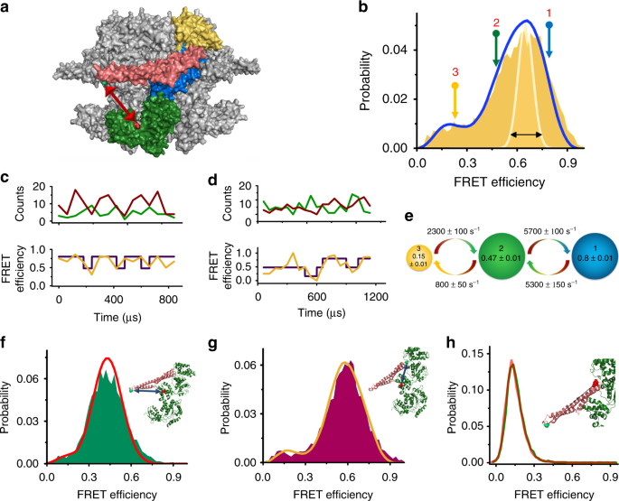 Tunable microsecond dynamics of an allosteric switch regulate the activity of a aaa+ disaggregation machine