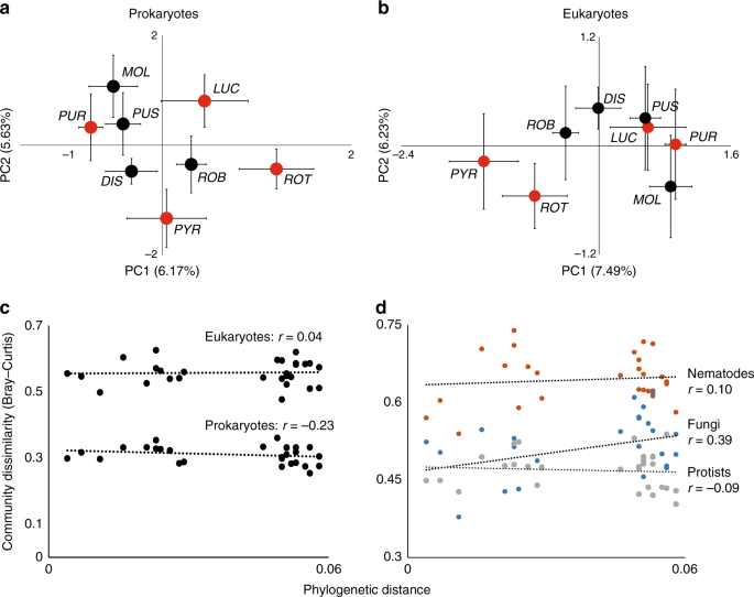 Root Traits And Belowground Herbivores Relate To Plant Soil Feedback Variation Among Congeners Nature Communications