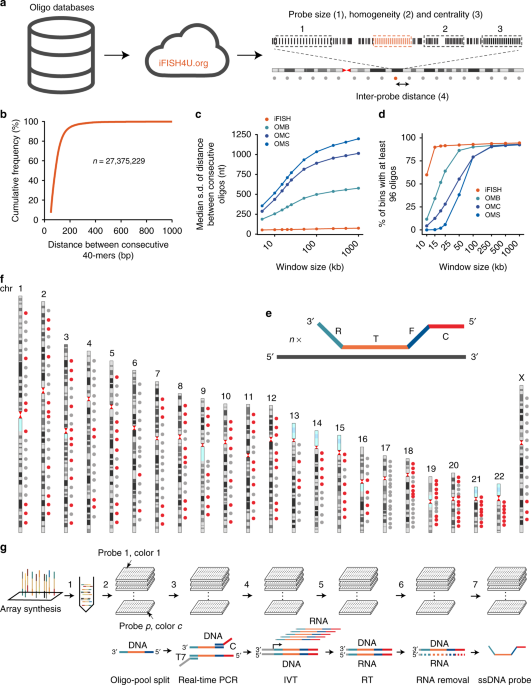 Ifish Is A Publically Available Resource Enabling Versatile Dna Fish To Study Genome Architecture Nature Communications