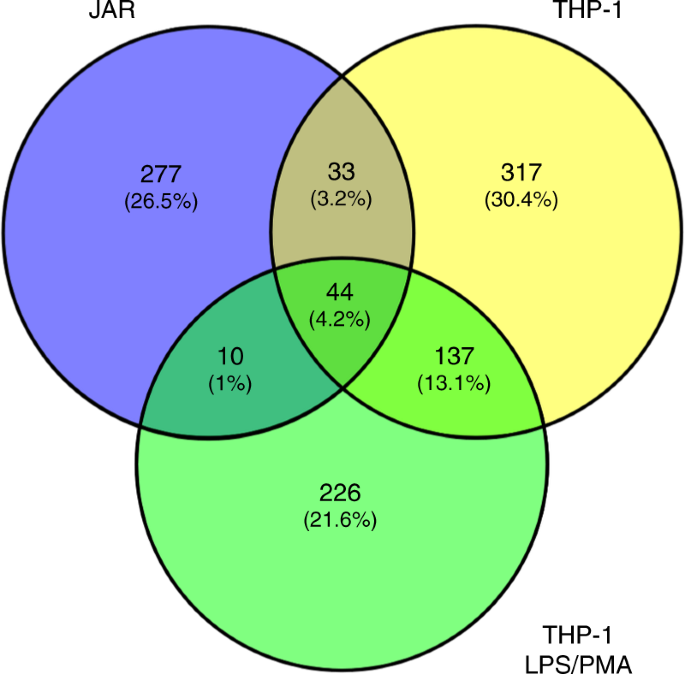 Physical And Functional Interaction Between 0 And Atg16l1 Wd40 Domain In The Control Of Intestinal Homeostasis Nature Communications