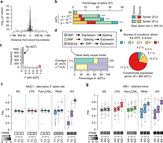 The role played by alternative splicing in antigenic variability