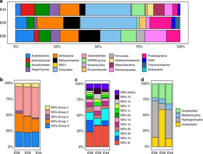 Metabolic Potential Of Uncultured Bacteria And Archaea