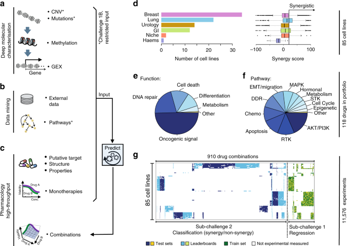 Community assessment to advance computational prediction of cancer drug  combinations in a pharmacogenomic screen | Nature Communications