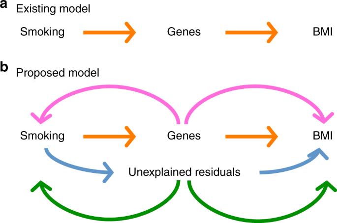 Genotype–covariate correlation and interaction disentangled by a 