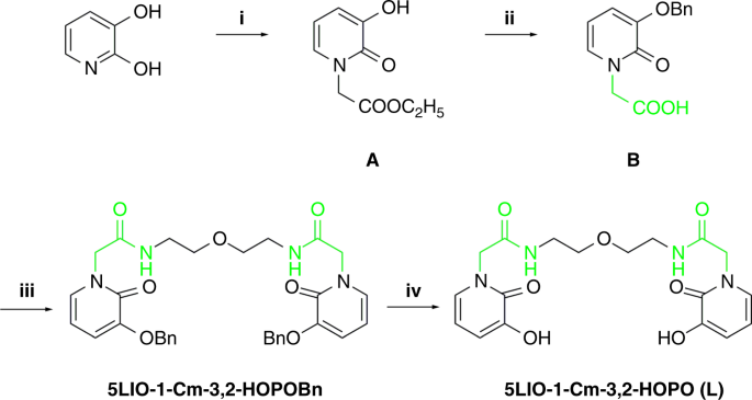 A 3 2 Hydroxypyridinone Based Decorporation Agent That Removes Uranium From Bones In Vivo Nature Communications