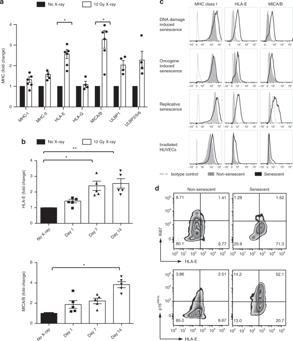 Senescent Cells Evade Immune Clearance Via Hla E Mediated Nk And Cd8 T Cell Inhibition Nature Communications