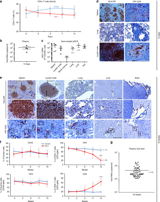 Sequential LASER ART and CRISPR Treatments Eliminate HIV-1 in a Subset of  Infected Humanized Mice | Nature Communications