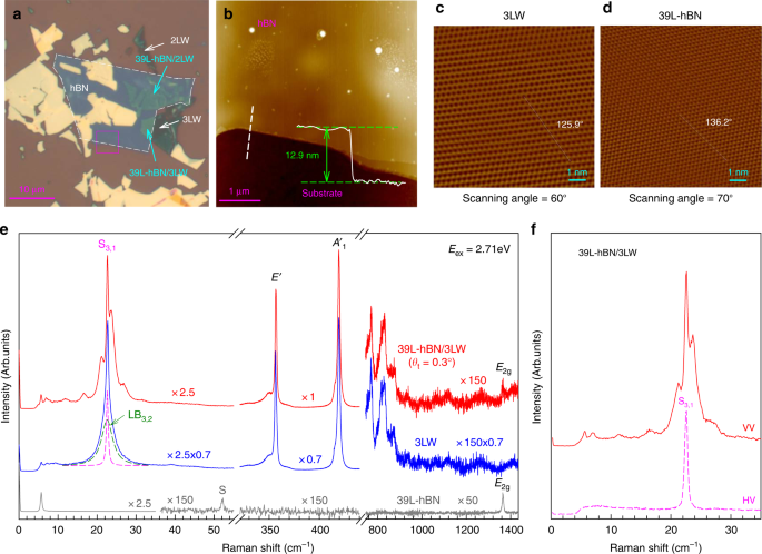 Cross Dimensional Electron Phonon Coupling In Van Der Waals Heterostructures Nature Communications