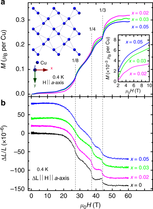 Emergent Bound States And Impurity Pairs In Chemically Doped