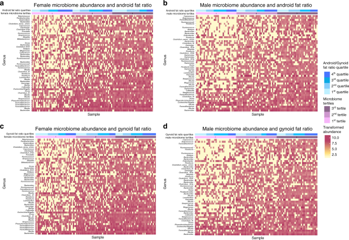 Sex Specific Association Between Gut Microbiome And Fat Distribution Nature Communications