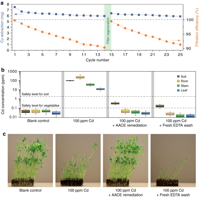 Remediation of heavy metal contaminated soil by asymmetrical