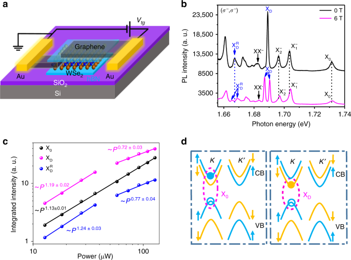 Emerging photoluminescence from the dark-exciton phonon replica in  monolayer WSe2 | Nature Communications