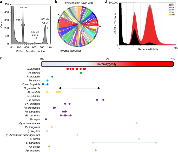 Genomic Signatures Of Heterokaryosis In The Oomycete
