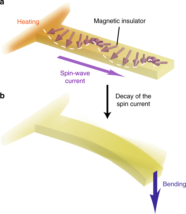 Spin Seebeck mechanical force | Nature Communications