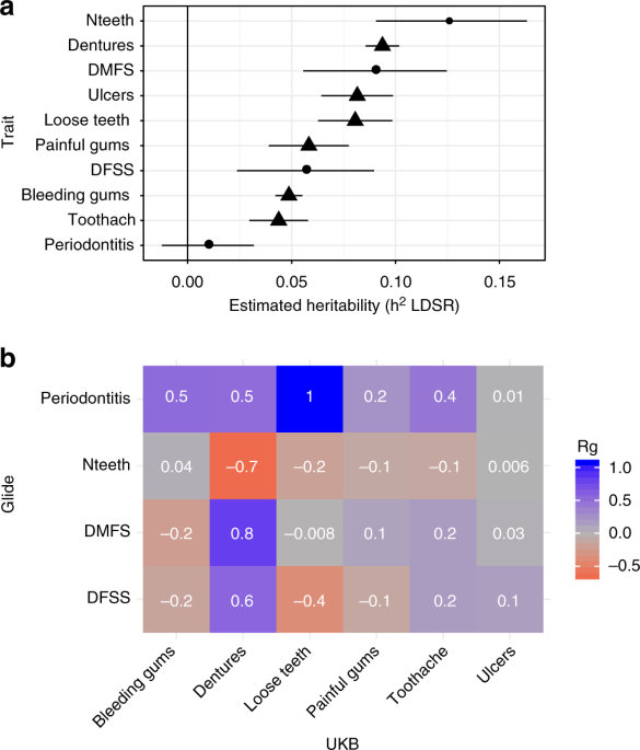 Genome-wide analysis of dental caries and periodontitis combining clinical and self-reported data Nature Communications