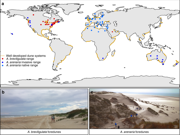 Endemic Wildlife: Their Importance For Nature As A Whole - Sigma Earth