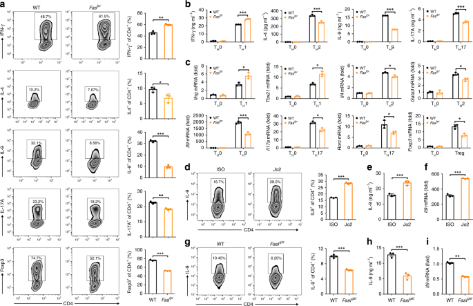 QnA VBage Fas signaling-mediated T H 9 cell differentiation favors bowel inflammation and antitumor functions