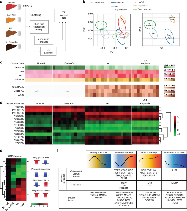 Defective Hnf4alpha Dependent Gene Expression As A Driver Of - 