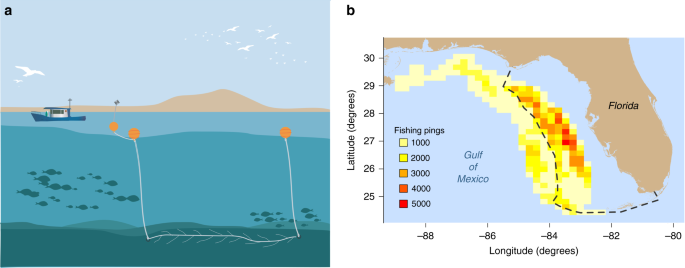 bottom longline fishing