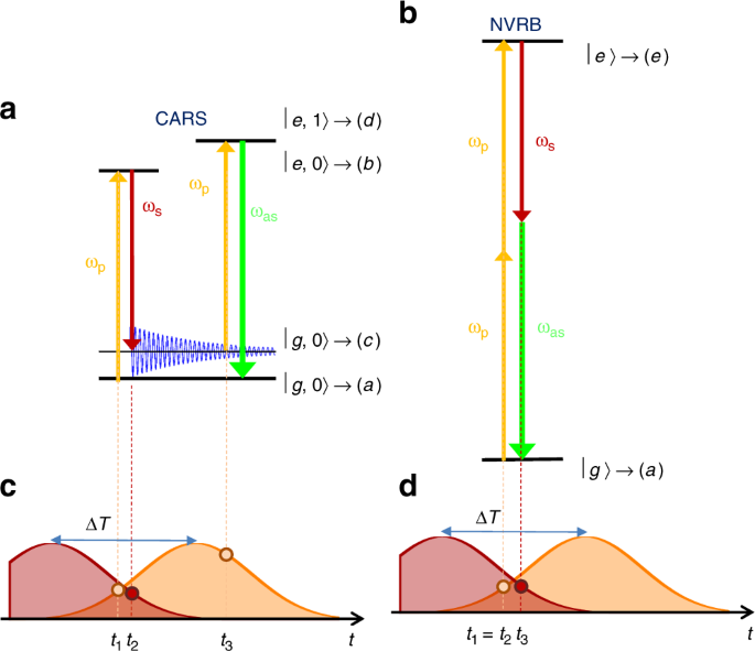 corona salchicha Umeki Coherent anti-Stokes Raman spectroscopy of single and multi-layer graphene  | Nature Communications