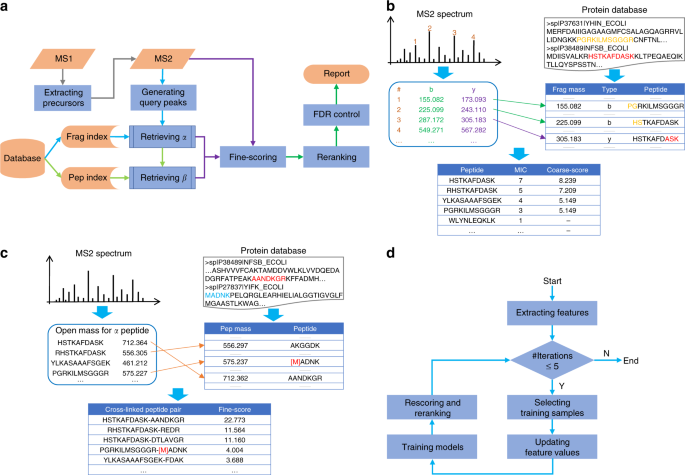 A High Speed Search Engine Plink 2 With Systematic Evaluation For Proteome Scale Identification Of Cross Linked Peptides Nature Communications A High Speed Search Engine Plink 2 With Systematic Evaluation For Proteome Scale Identification Of Cross Linked Peptides Nature Communications