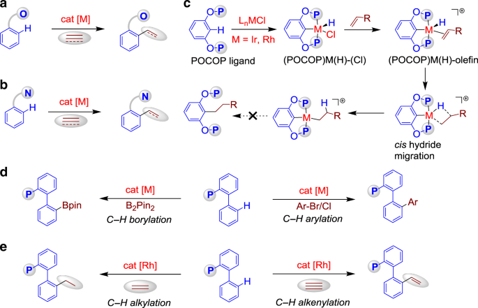 Rhodium-catalysed direct hydroarylation of alkenes and alkynes with  phosphines through phosphorous-assisted C−H activation | Nature  Communications
